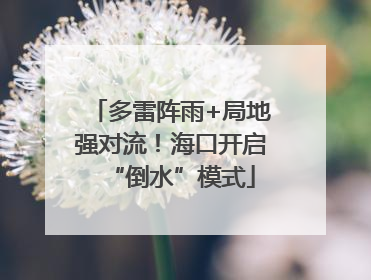 多雷阵雨+局地强对流！海口开启“倒水”模式