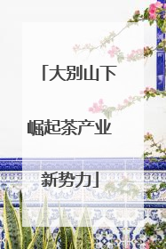 大别山下崛起茶产业新势力