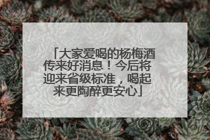 大家爱喝的杨梅酒传来好消息！今后将迎来省级标准，喝起来更陶醉更安心