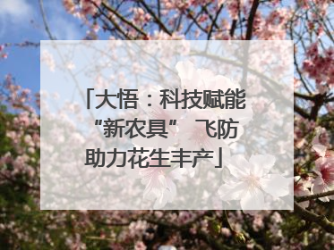 大悟：科技赋能“新农具” 飞防助力花生丰产