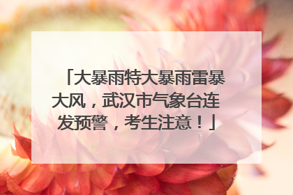 大暴雨特大暴雨雷暴大风，武汉市气象台连发预警，考生注意！