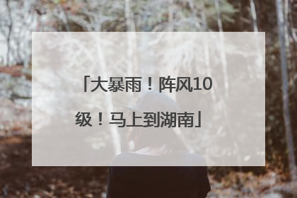 大暴雨！阵风10级！马上到湖南