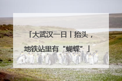 大武汉一日丨抬头，地铁站里有“蝴蝶”