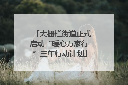 大栅栏街道正式启动“暖心万家行”三年行动计划