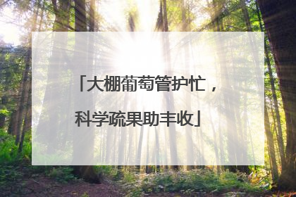大棚葡萄管护忙，科学疏果助丰收