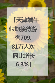 天津端午假期接待游客709.81万人次 同比增长6.3%