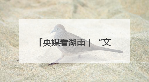 央媒看湖南丨“文化长江 魅力岳阳”第七届“乡愁湘韵”湖南省摄影艺术展览盛大启幕
