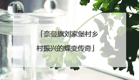 奈曼旗刘家堡村乡村振兴的蝶变传奇