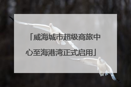 威海城市超级商旅中心至海港湾正式启用
