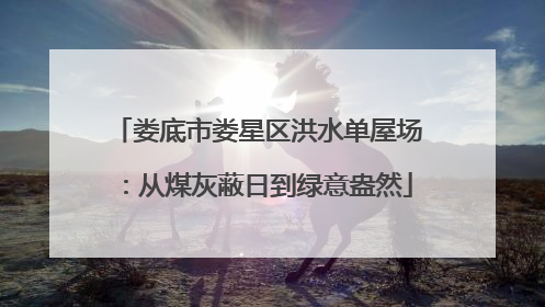 娄底市娄星区洪水单屋场：从煤灰蔽日到绿意盎然
