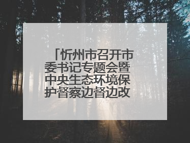 忻州市召开市委书记专题会暨中央生态环境保护督察边督边改工作推进会