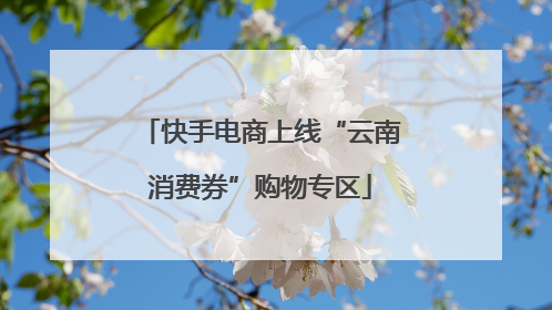 快手电商上线“云南消费券”购物专区