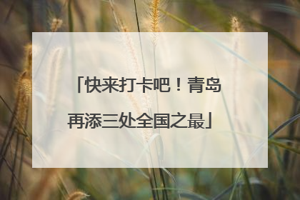 快来打卡吧！青岛再添三处全国之最