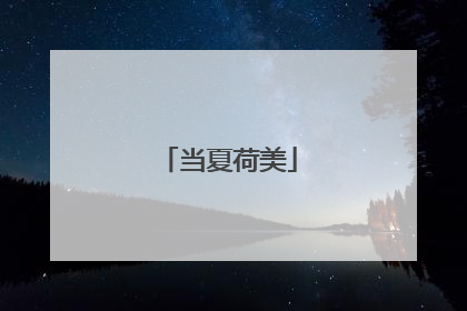 当夏荷美