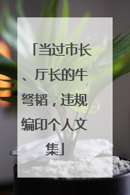 当过市长、厅长的牛弩韬，违规编印个人文集