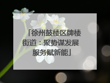 徐州鼓楼区牌楼街道：聚势谋发展 服务赋新能