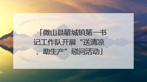 微山县驩城镇第一书记工作队开展“送清凉、助生产”慰问活动