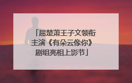 屈楚萧王子文领衔主演《有朵云像你》剧组亮相上影节