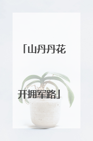 山丹丹花开拥军路