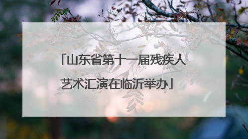 山东省第十一届残疾人艺术汇演在临沂举办