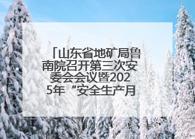 山东省地矿局鲁南院召开第三次安委会会议暨2025年“安全生产月”活动启动仪式