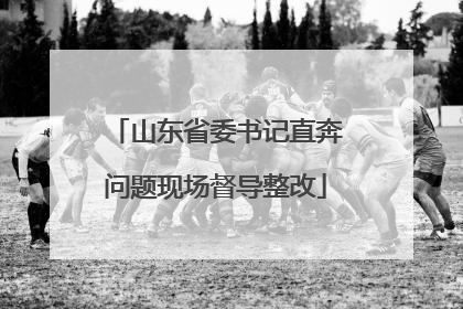 山东省委书记直奔问题现场督导整改