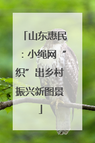 山东惠民：小绳网“织”出乡村振兴新图景