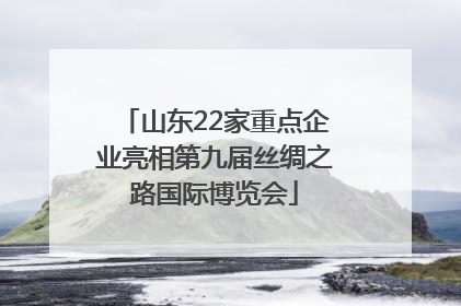山东22家重点企业亮相第九届丝绸之路国际博览会