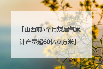 山西前5个月煤层气累计产量超60亿立方米