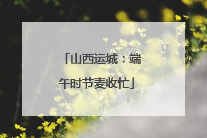 山西运城：端午时节麦收忙
