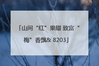 山间“红”果缀 致富“梅”香飘& 8203
