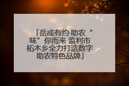 岳成有约·助农“味”你而来 监利市柘木乡全力打造数字助农特色品牌