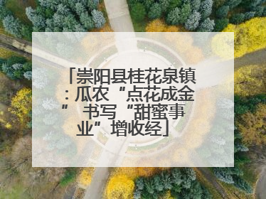 崇阳县桂花泉镇：瓜农“点花成金” 书写“甜蜜事业”增收经