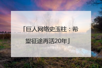 巨人网络史玉柱：希望征途再活20年