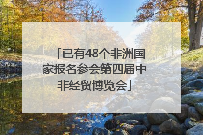 已有48个非洲国家报名参会第四届中非经贸博览会