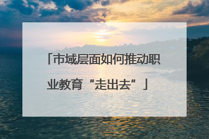 市域层面如何推动职业教育“走出去”