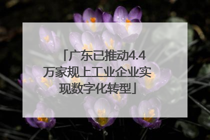 广东已推动4.4万家规上工业企业实现数字化转型