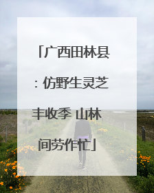 广西田林县：仿野生灵芝丰收季 山林间劳作忙