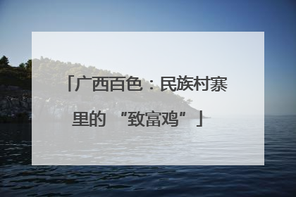 广西百色：民族村寨里的 “致富鸡”