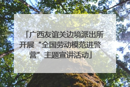 广西友谊关边境派出所开展“全国劳动模范进警营”主题宣讲活动