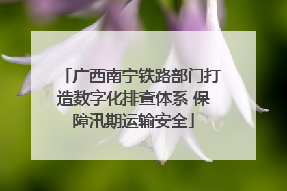 广西南宁铁路部门打造数字化排查体系 保障汛期运输安全