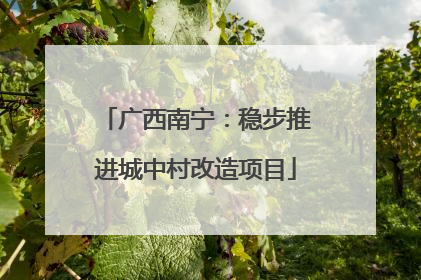 广西南宁：稳步推进城中村改造项目