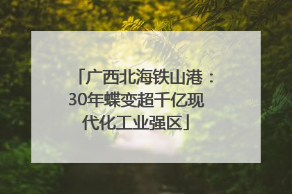 广西北海铁山港：30年蝶变超千亿现代化工业强区