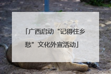 广西启动“记得住乡愁”文化外宣活动