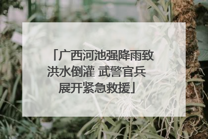 广西河池强降雨致洪水倒灌 武警官兵展开紧急救援
