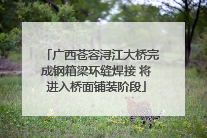 广西苍容浔江大桥完成钢箱梁环缝焊接 将进入桥面铺装阶段