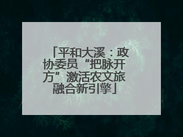 平和大溪：政协委员“把脉开方”激活农文旅融合新引擎