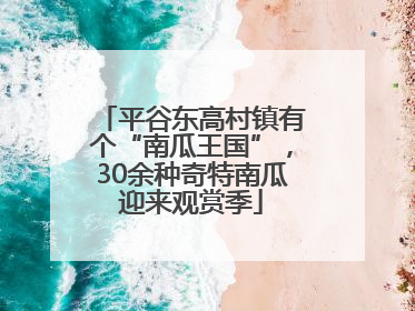 平谷东高村镇有个“南瓜王国”，30余种奇特南瓜迎来观赏季