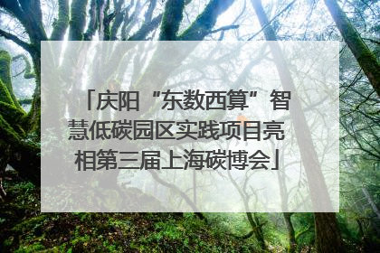 庆阳“东数西算”智慧低碳园区实践项目亮相第三届上海碳博会