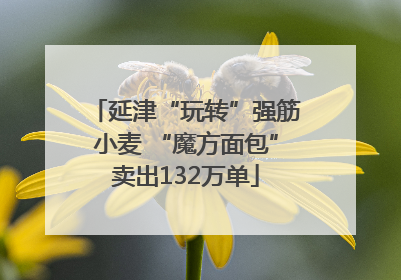 延津“玩转”强筋小麦 “魔方面包”卖出132万单